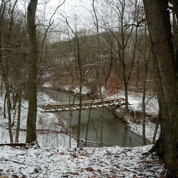 A view of the pedestrian bridge on the forest trail just below the dam inside Raccoon Creek State Park. A nice winter hike.