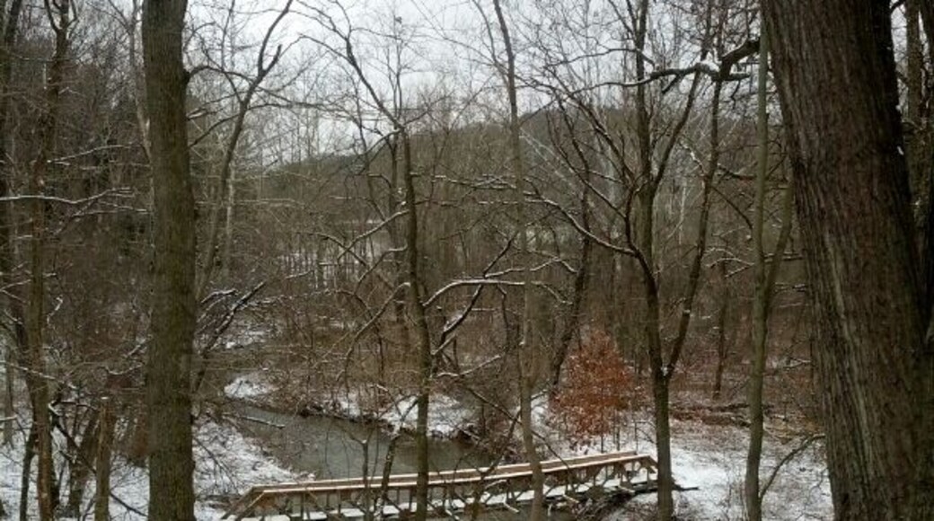 A view of the pedestrian bridge on the forest trail just below the dam inside Raccoon Creek State Park. A nice winter hike.
