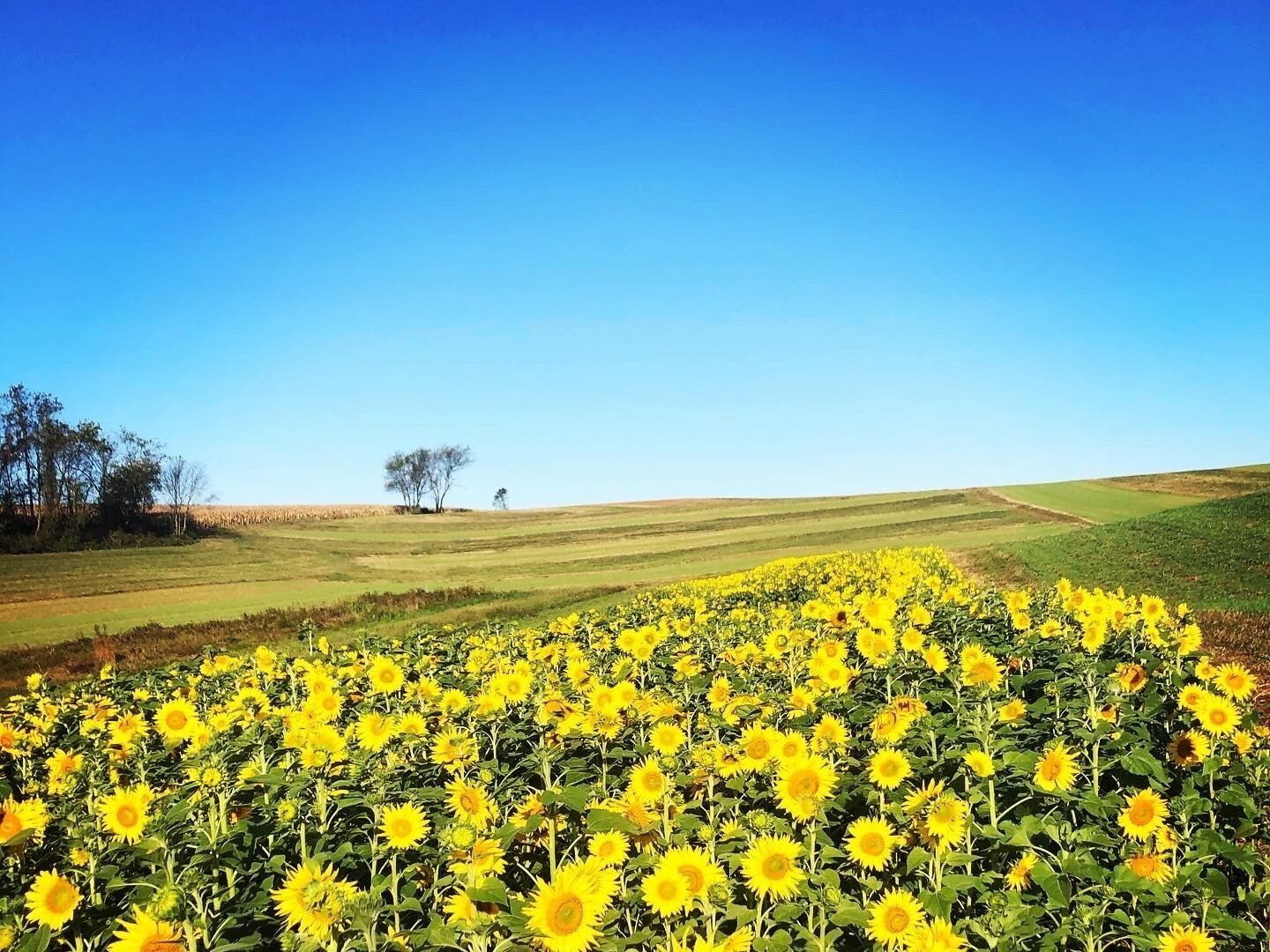 Along Rte 30 
#localstreets
#localsecrets