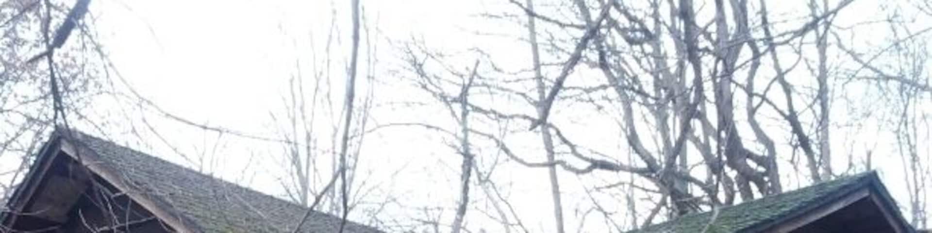 One of a dozen or so abandoned cabins located inside raccoon creek state park. The cabins were likely part of park construction in 1935 by the Civilian Conservation Corps.