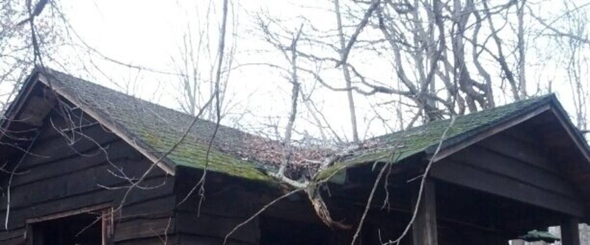 A rustic wooden cabin with a moss-covered roof, surrounded by leafless trees and a ground covered with dry leaves.