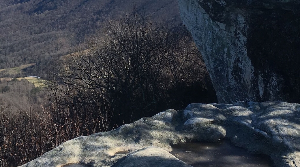 I'm on top of the world! 8 mi hike, for all levels (pace can vary) located on the Appalachian trail. #nofilter