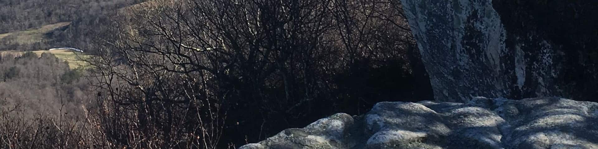 I'm on top of the world! 8 mi hike, for all levels (pace can vary) located on the Appalachian trail. #nofilter