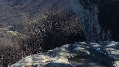 I'm on top of the world! 8 mi hike, for all levels (pace can vary) located on the Appalachian trail. #nofilter