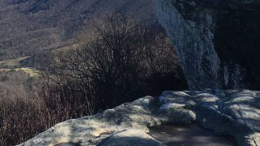 I'm on top of the world! 8 mi hike, for all levels (pace can vary) located on the Appalachian trail. #nofilter
