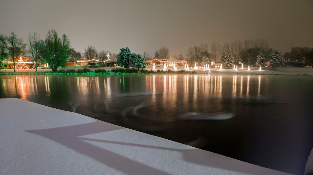 Christmas Lights over fresh snow at Salem Pond