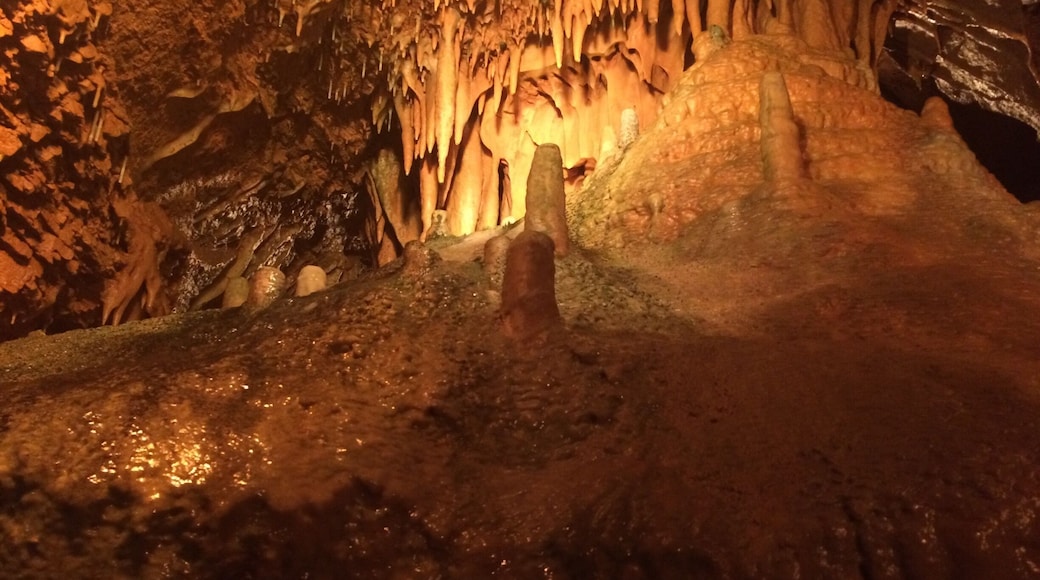 $12 per adult. 1/4 miles. Very knowledgable staff and great for all ages.