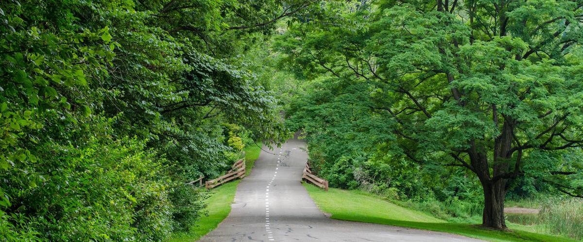 Beautiful running path at Brown County state park Indiana USA