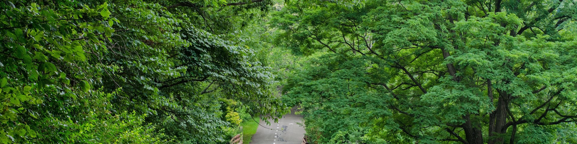 Beautiful running path at Brown County state park Indiana USA