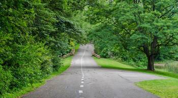 Beautiful running path at Brown County state park Indiana USA