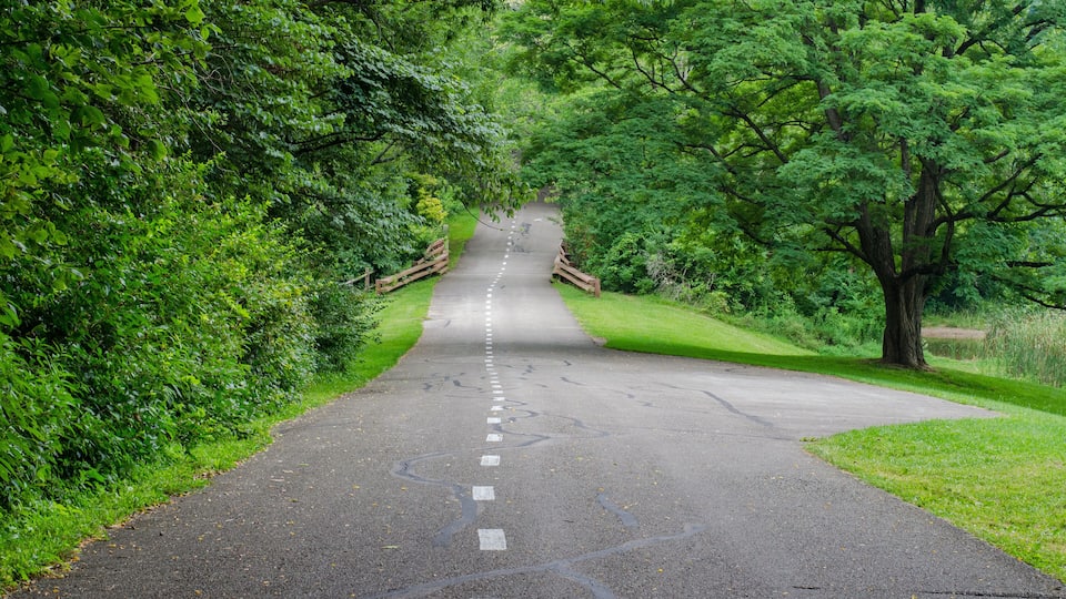 Beautiful running path at Brown County state park Indiana USA