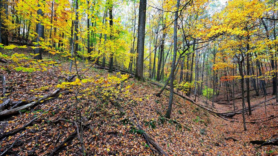 fall mountain