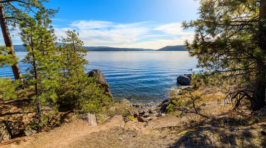View from the rocky coastline of Tubbs Hill park along the lake in the downtown district of Coeur d'Alene, Idaho, USA.