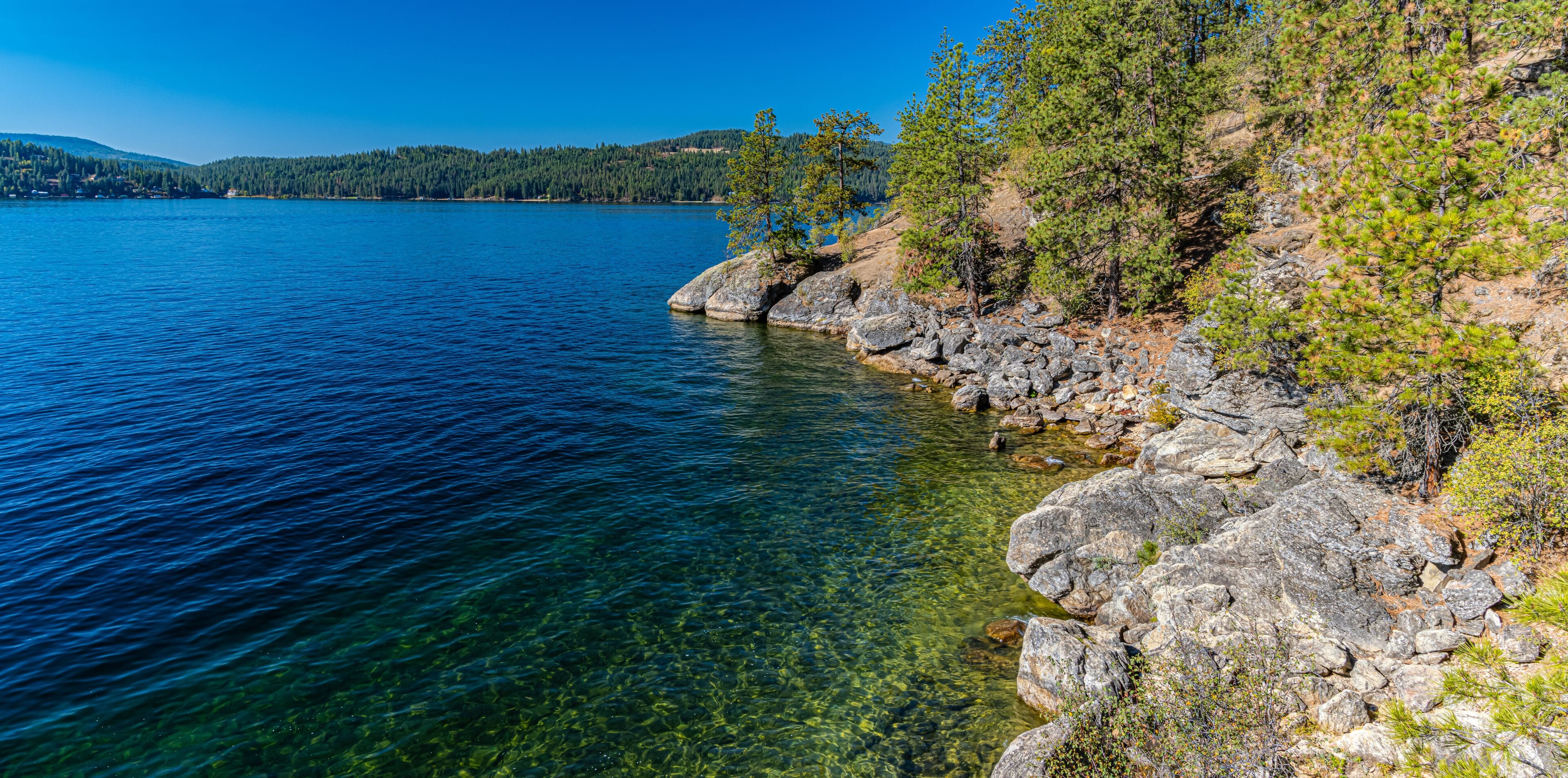 อีสต์ มัลเลน