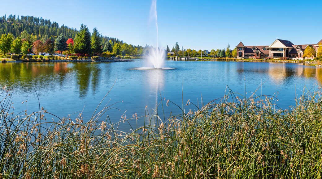 ริเวอร์สโตน