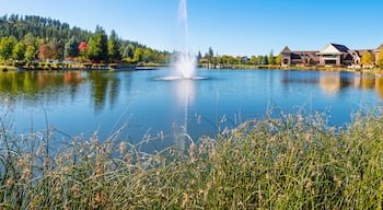 ริเวอร์สโตน