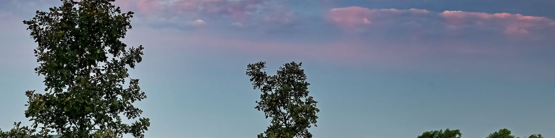 697-47 Wildflower Sky