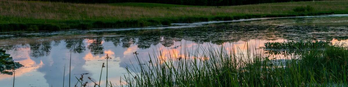 A river reflecting the sky, surrounded by grassy fields and trees.