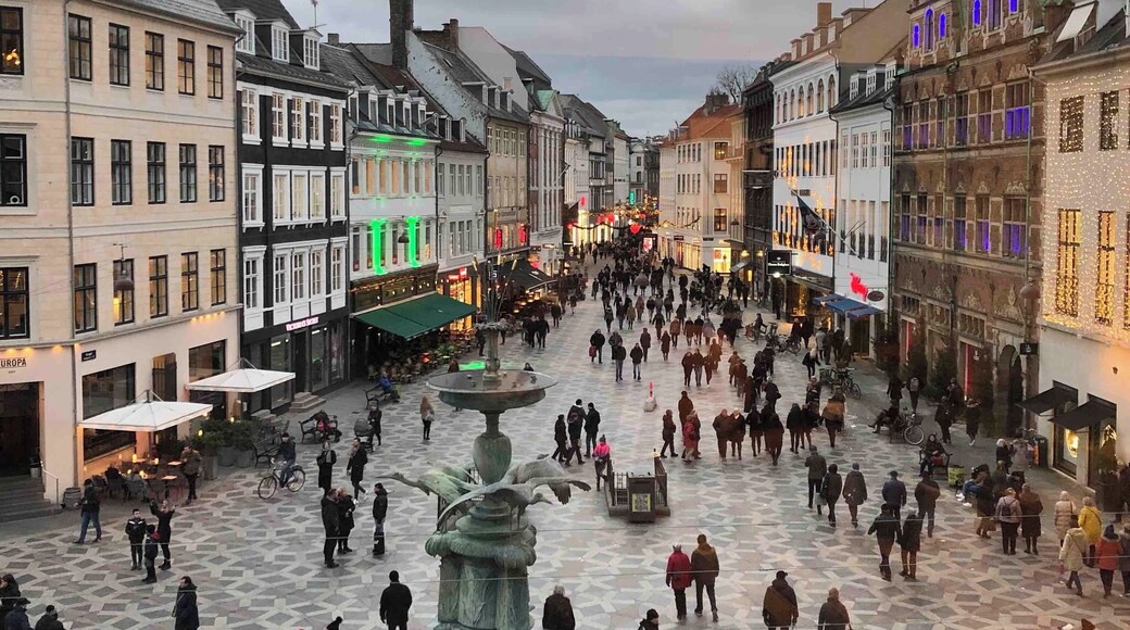 Watching life go by on a wintery afternoon in the heart of Copenhagen’s shopping district. #copenhagen #denmark