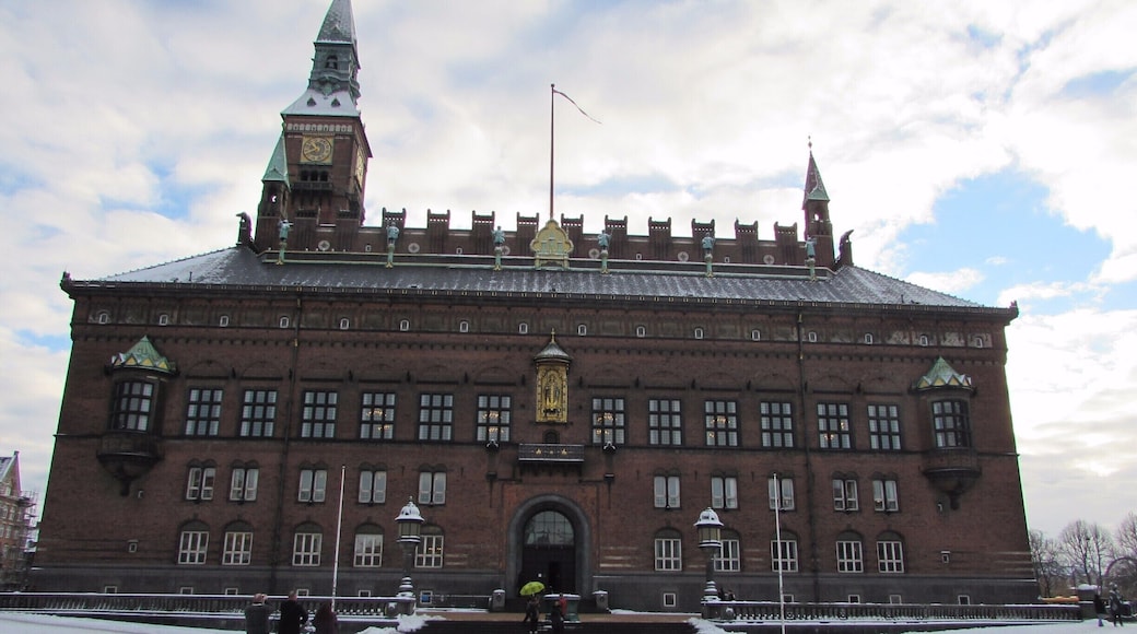 I would 100% recommend taking the free walking tour that leaves from here everyday at 11am with the guide you can see holding the green umbrella. I learnt so much about the history and sites of Copenhagen and Denmark.