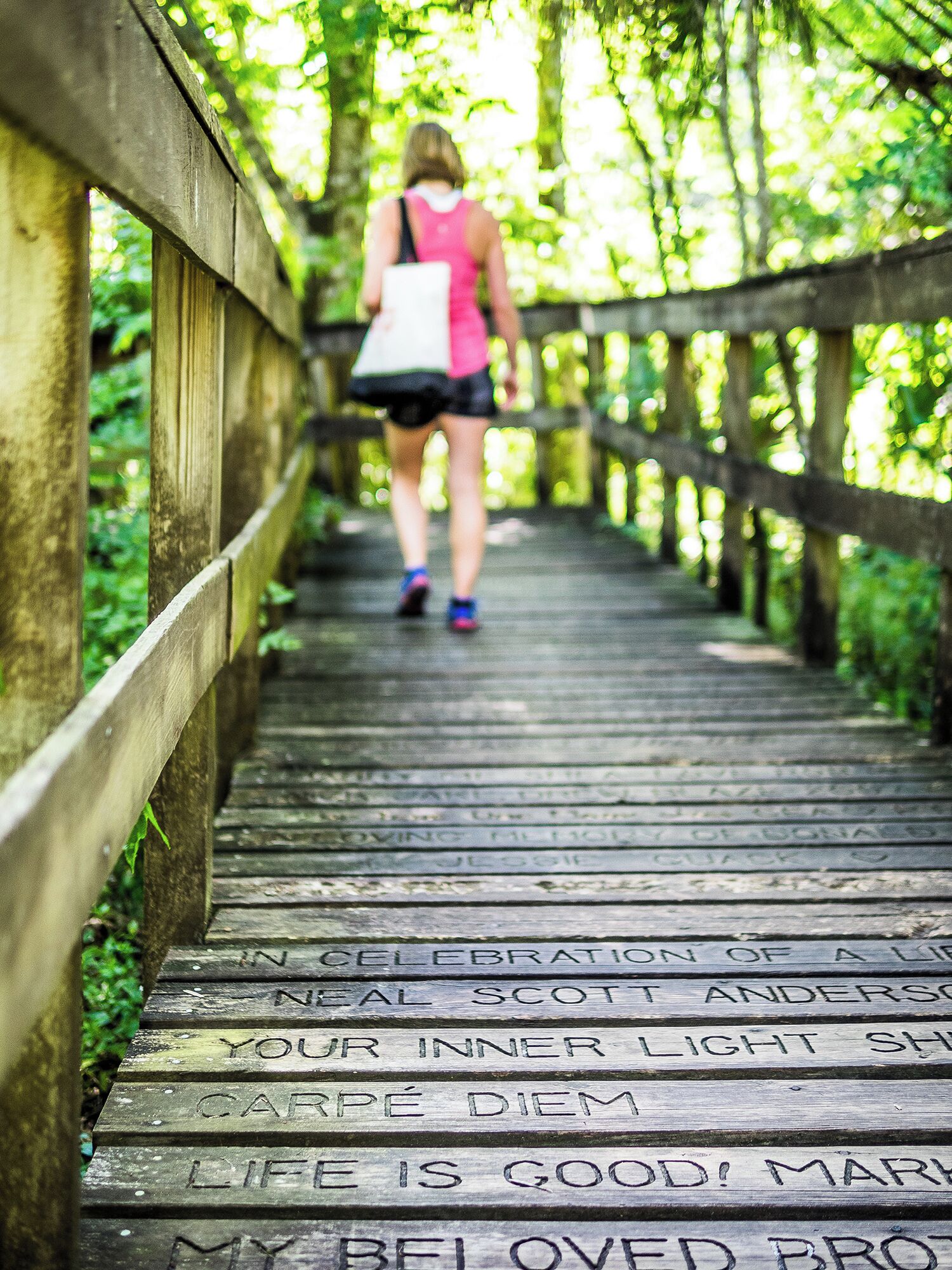 Our #roadtrip to #Florida is allowing us to see beautiful parks.

We highly recommend a walk through Turkey Creek sanctuary in palm bay if you're in the area!

#nature #trail #park #beautiful