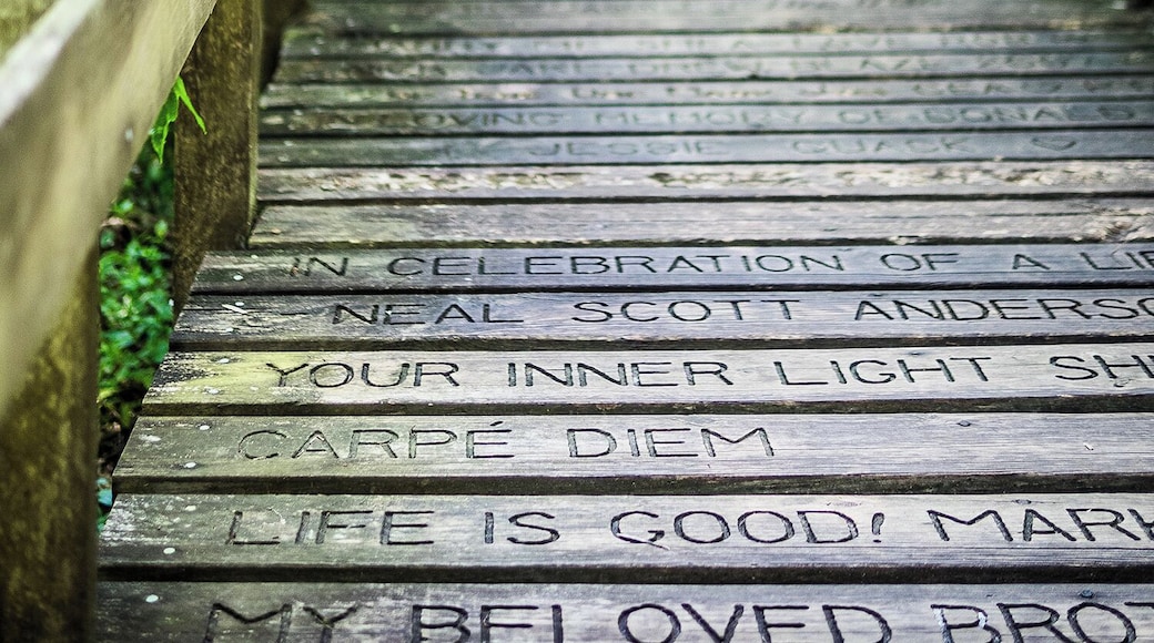 Our #roadtrip to #Florida is allowing us to see beautiful parks.
We highly recommend a walk through Turkey Creek sanctuary in palm bay if you're in the area!
#nature #trail #park #beautiful