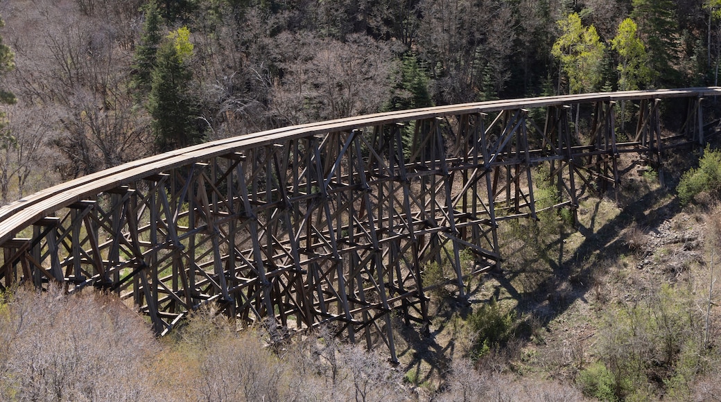 A scenic view of the historic wooden Mexican Canyon Trestle in Cloudcroft, New Mexico.