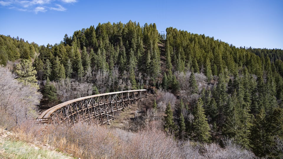 A wooden bridge in a forested area.