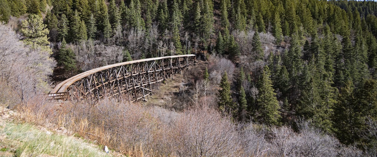A wooden bridge in a forested area.