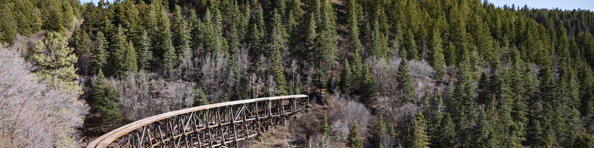 A wooden bridge in a forested area.
