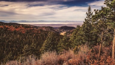 Paisagem montanhosa com florestas densas e um vale.
