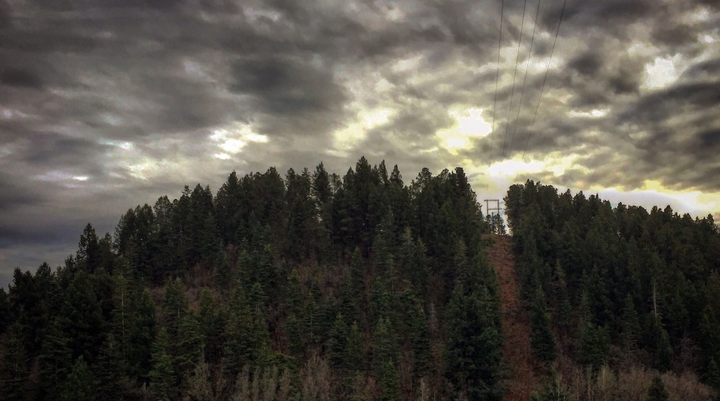 Learn the history of the first train up the mountain to Cloudcroft and get some beautiful shots of the railroad bridge.