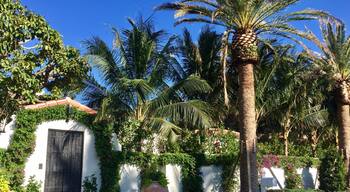 Located behind this gated wall is the home that Joseph Kennedy purchased in 1933 as a family winter home. It was here that Future President John F Kennedy wrote his inaugural address and selected his cabinet. It was also here that Joseph Kennedy had a stroke in 1961 that left him unable to speak. And, it was here that JFKs nephew William Kennedy Smith was accused and acquitted of rape in 1991. The home was sold for 4.9 Million dollars in 1995.