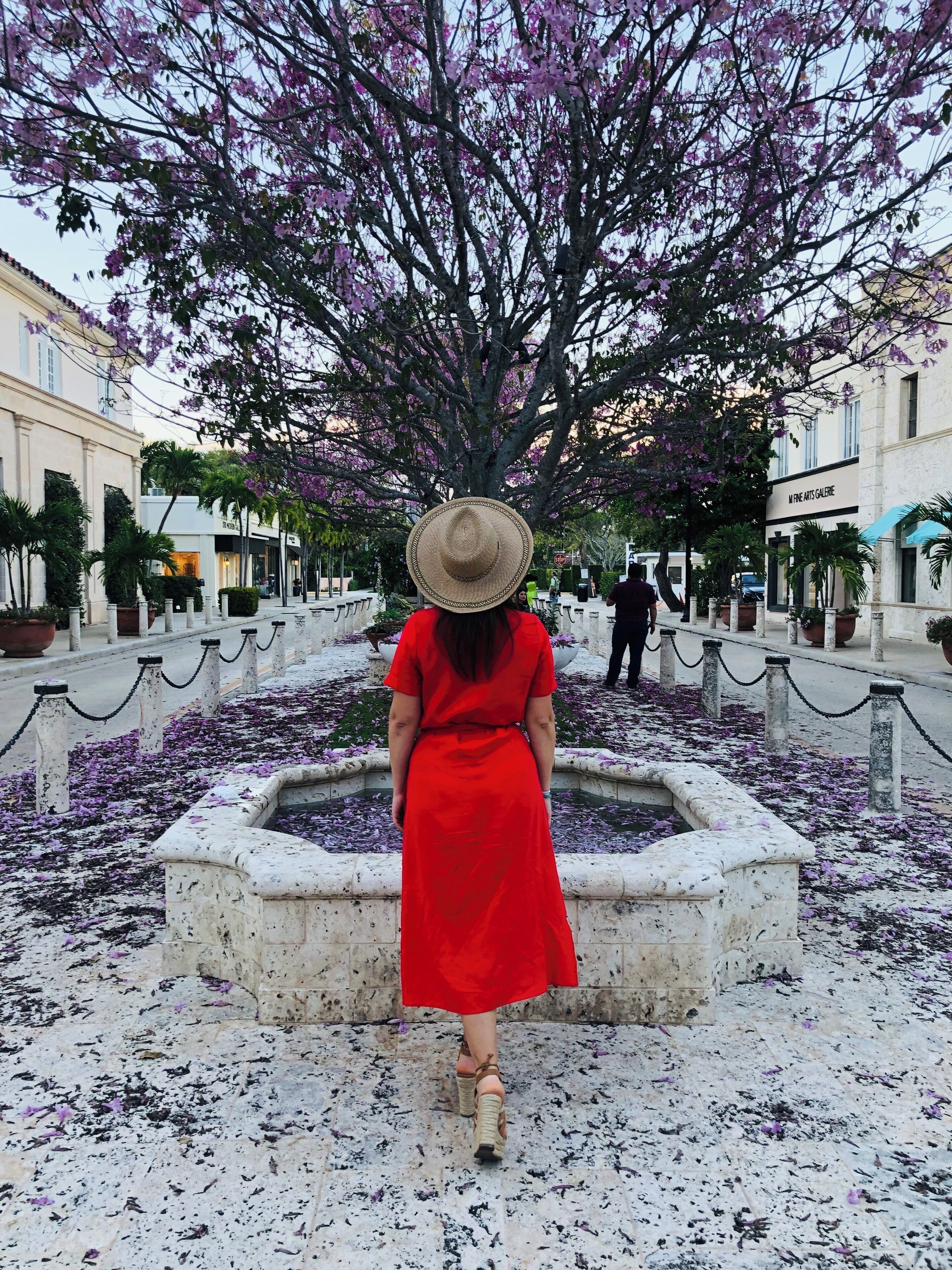 Spring in Palm Beach