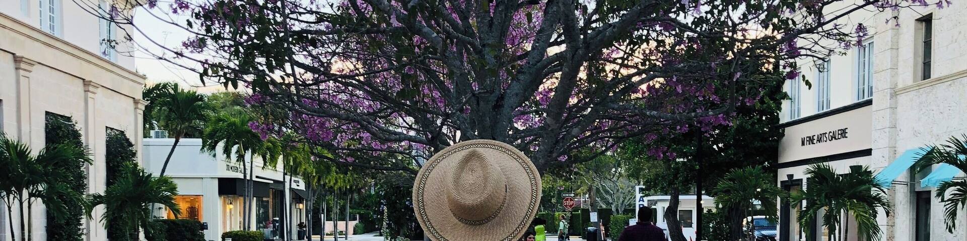 Una mujer con vestido rojo y sombrero de paja caminando hacia una fuente rodeada de flores moradas.