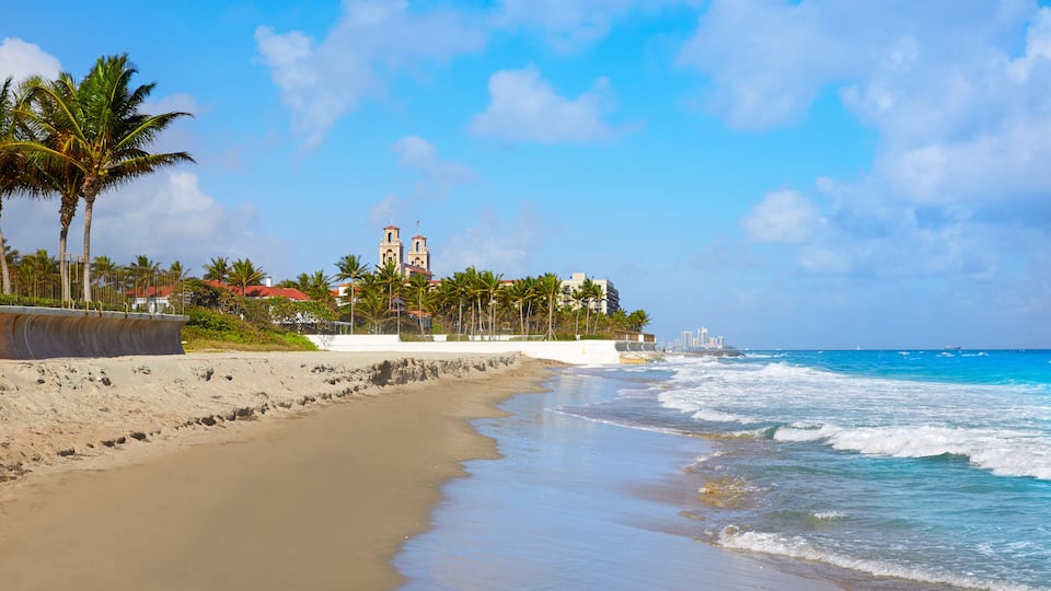 A sandy beach with palm trees, a church with two towers, and the ocean.