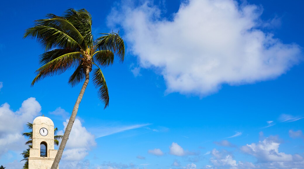 Condado de Palm Beach