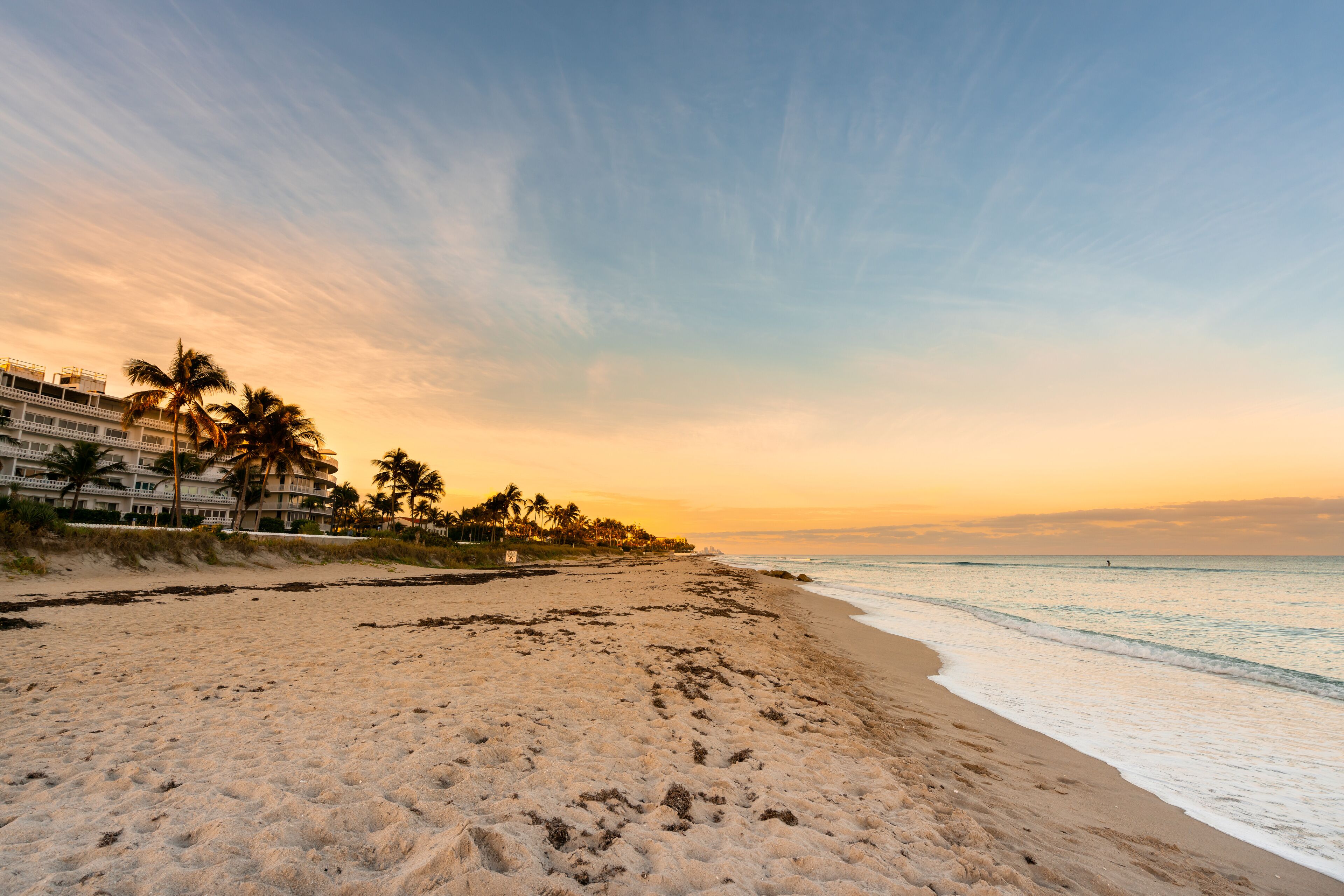 A beach with palm trees and a hotel in the background.