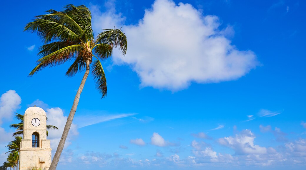 Condado de Palm Beach
