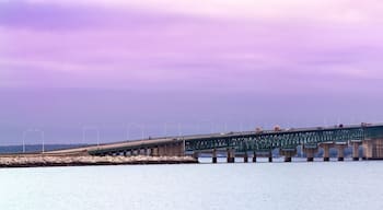 อีสต์บลัฟฟ์