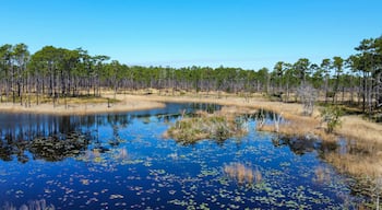 มัลลาร์ดครีก