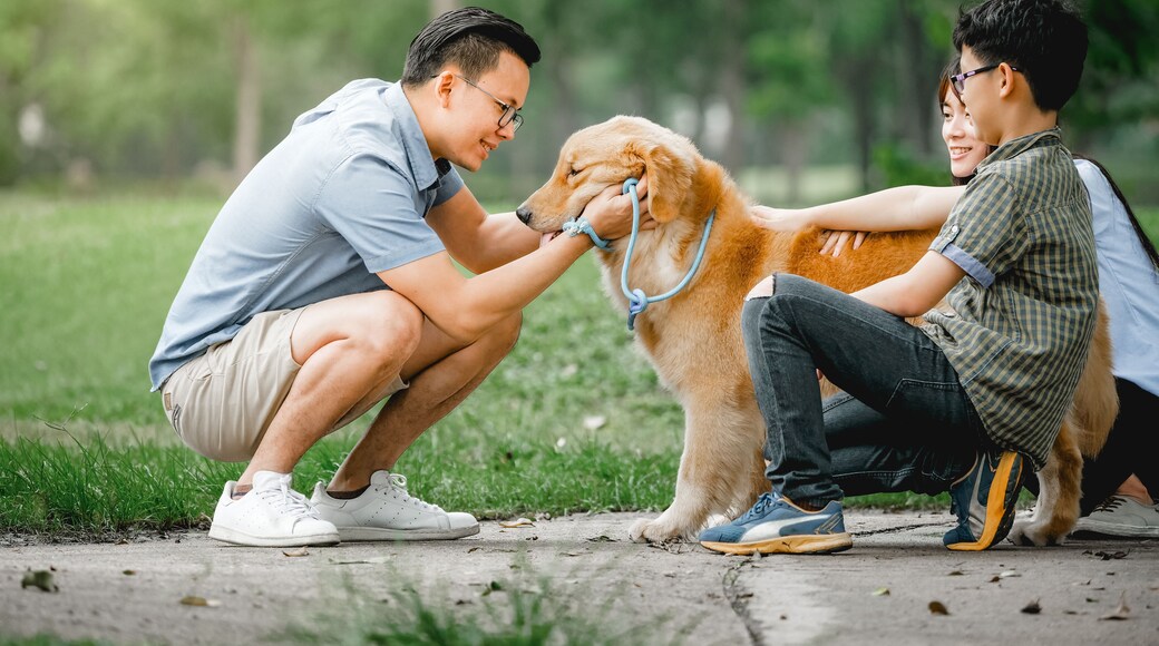 오리엔탈 도그 파크