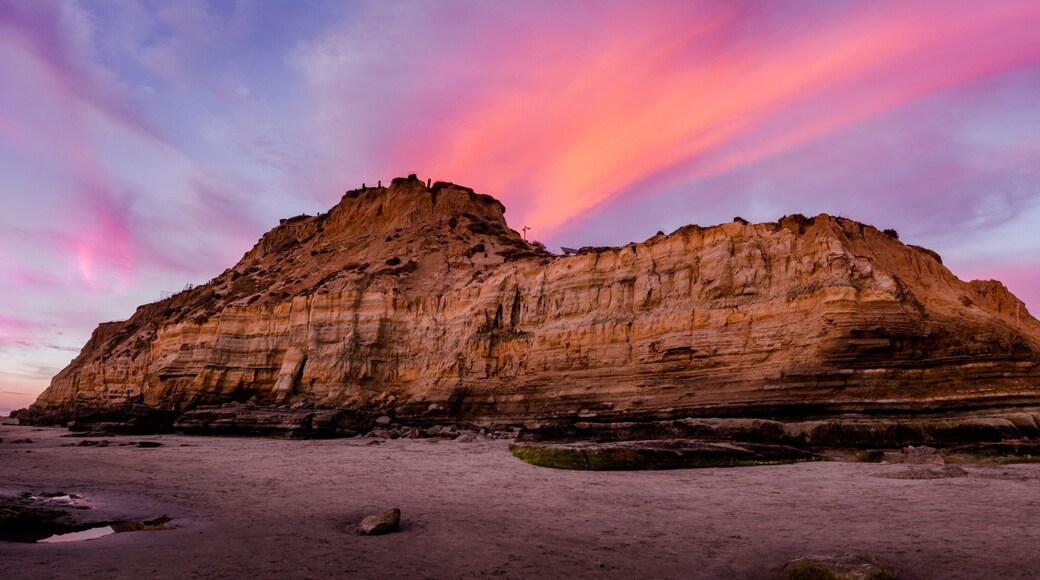 Del Mar Dog Beach at Sunset