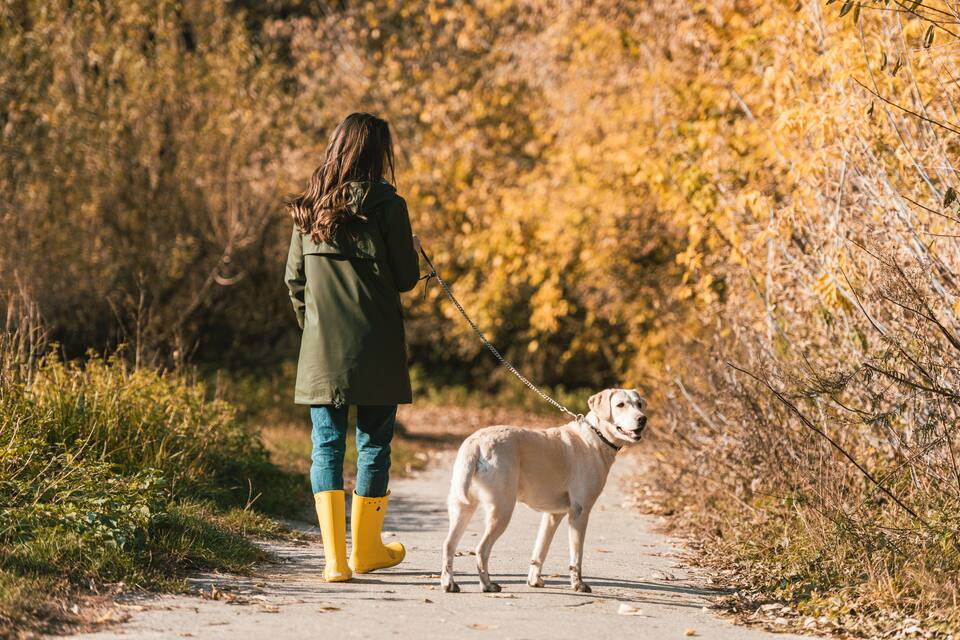 En person går tur med en hund på en belagt sti omgivet af efterårsblade.