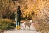 back view of woman in yellow rubber boots walking with golden retriever in autumnal park