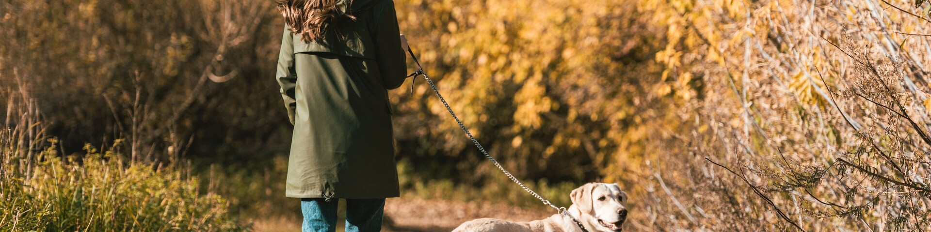 back view of woman in yellow rubber boots walking with golden retriever in autumnal park