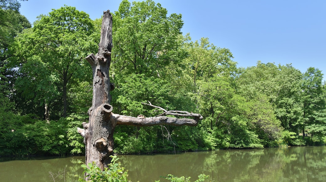 セントラル・バーク