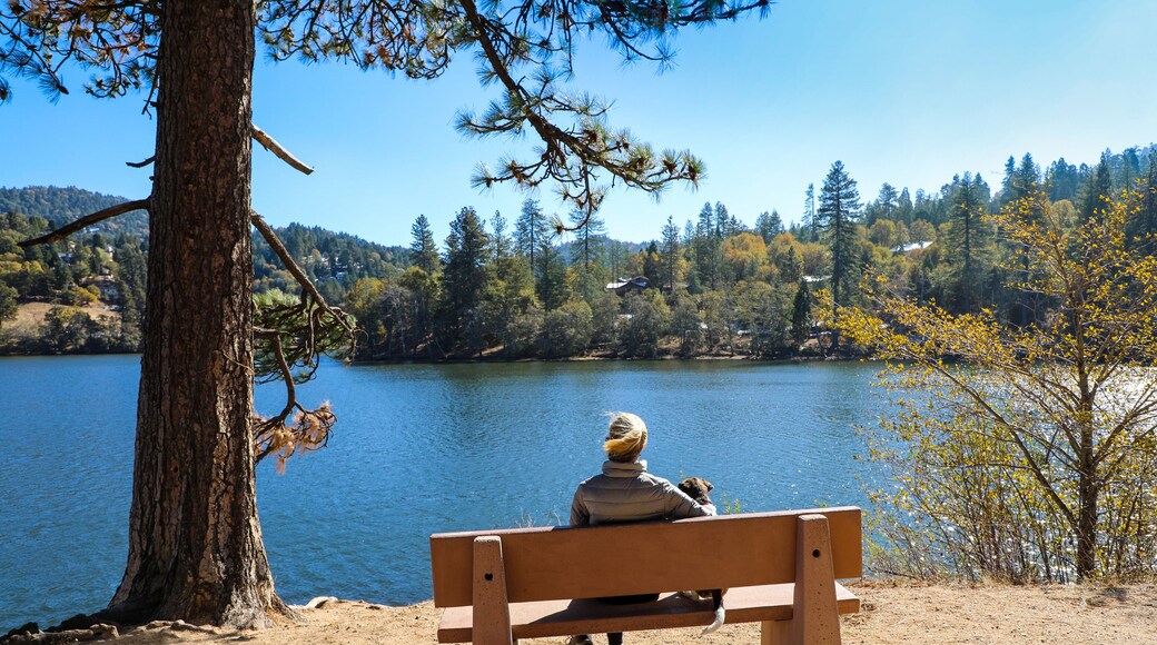 Lake Gregory Dog Park