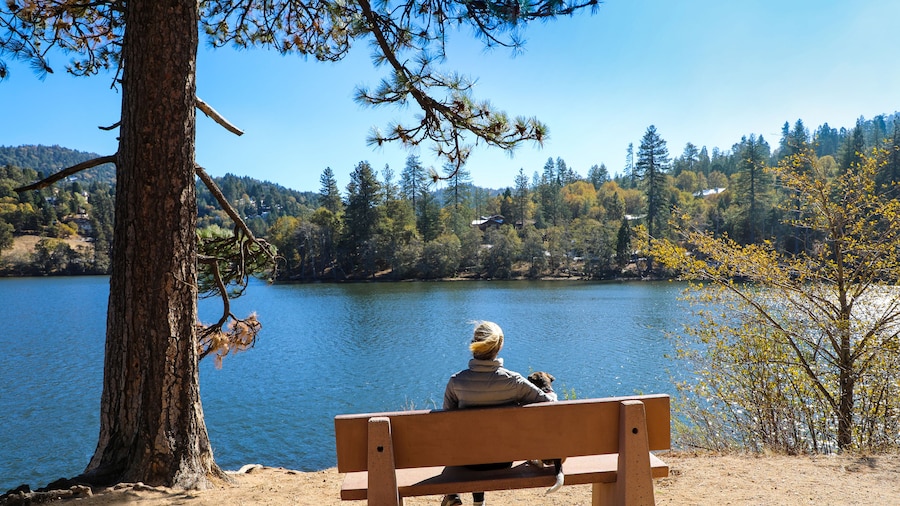 Lake Gregory Dog Park