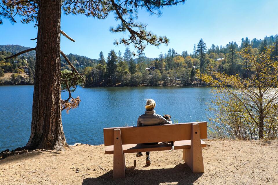 Una persona sentada en un banco junto a un lago, con árboles y colinas al fondo.